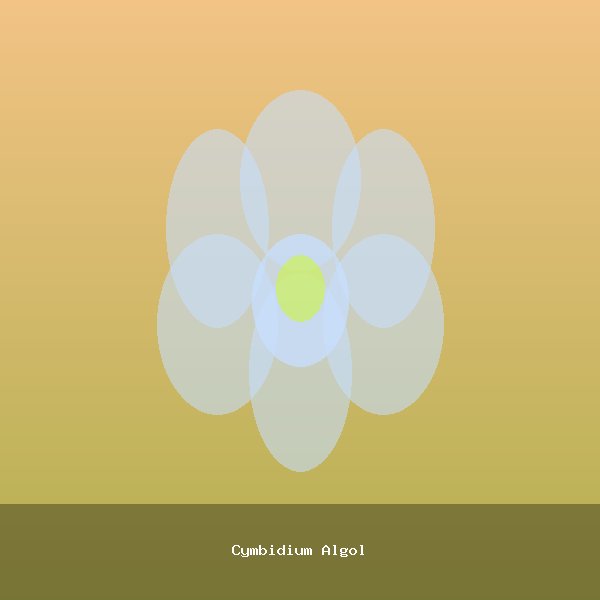 Cymbidium Algol