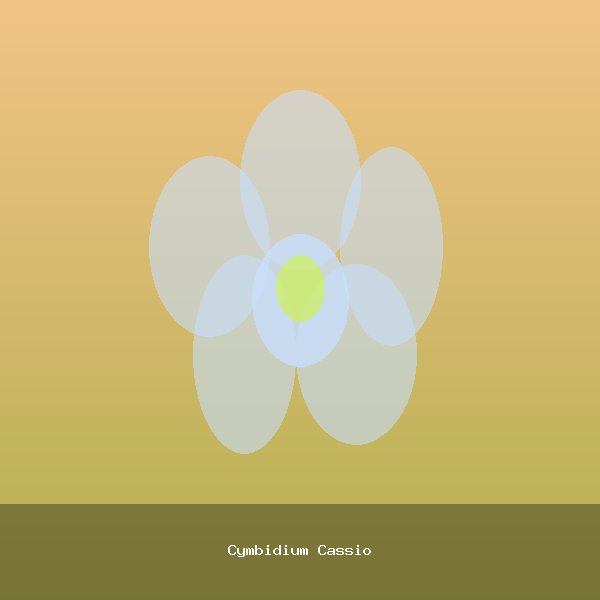 Cymbidium Cassio