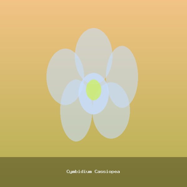 Cymbidium Cassiopea