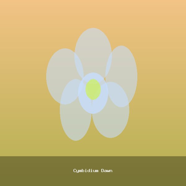 Cymbidium Dawn