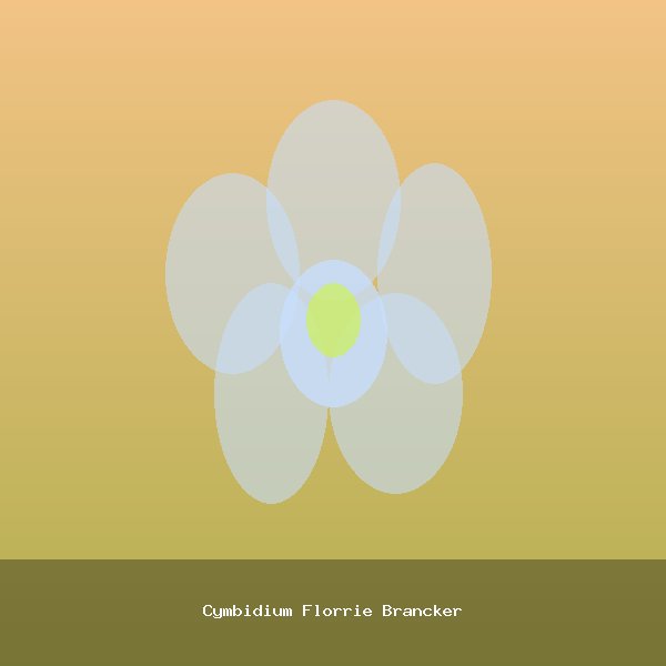 Cymbidium Florrie Brancker