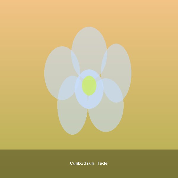 Cymbidium Jade