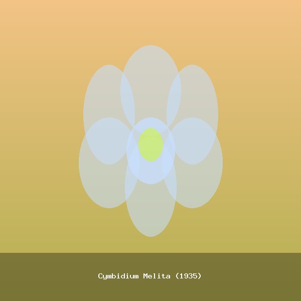Cymbidium Melita (1935)