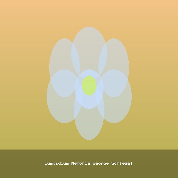 Cymbidium Memoria George Schlegel