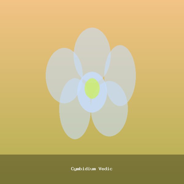 Cymbidium Vedic